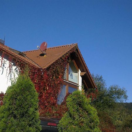 Ferienhaus Am Loeffelberghuettchen Giessubel Exterior photo